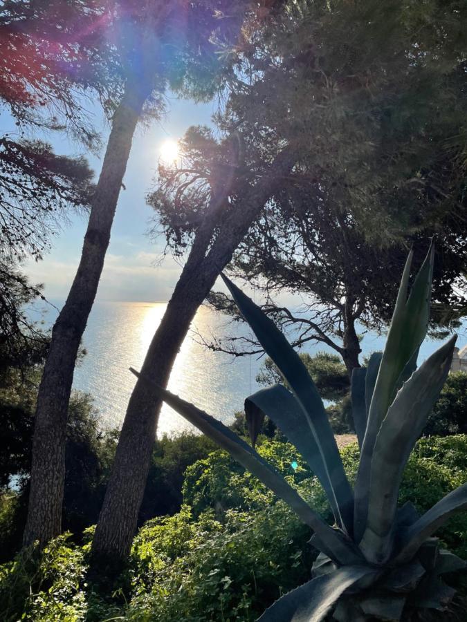 Casa Soluna Jávea Exteriör bild